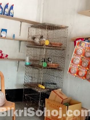কবুতর